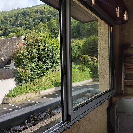Appartement Confortable Saint Lary Village Saint-Lary-Soulan Exterior foto